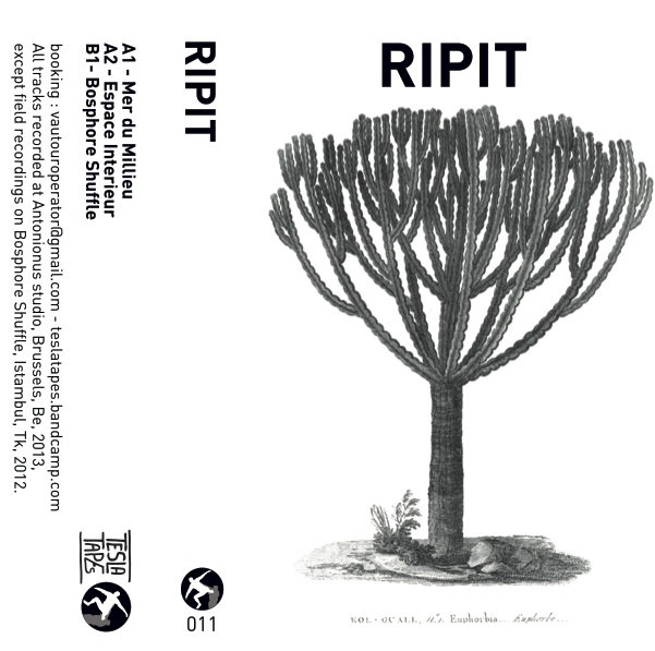 RIPIT cover art