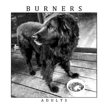 Adults cover art