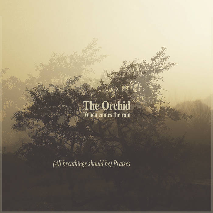 When comes the rain cover art