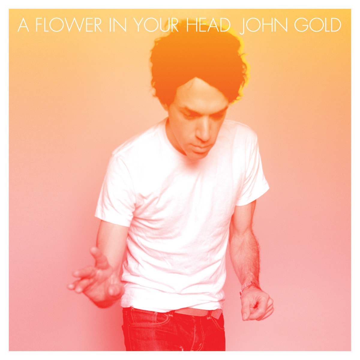 FLOWER IN YOUR HEAD flower in your head: