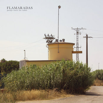 Flamaradas: Pasaje entre las cañas (Producciones Doradas, El Genio Equivocado, 2015)
