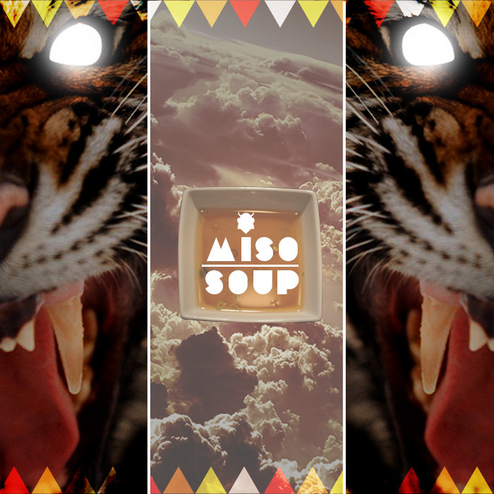 hari kari presents: miso soup