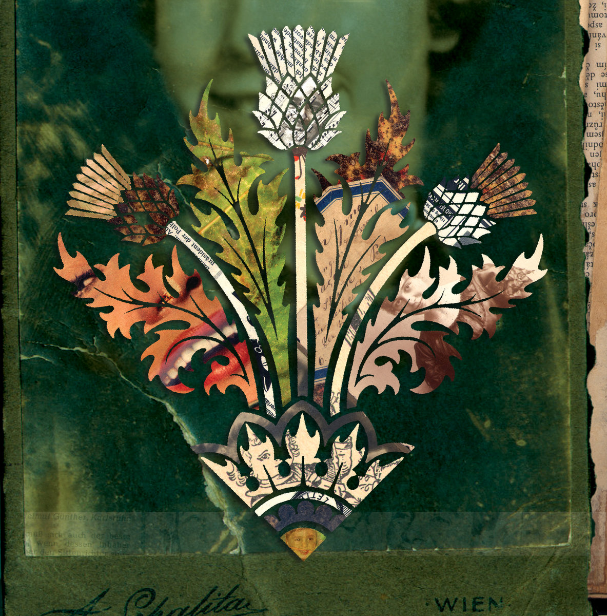 fresh mowed lawn cover art