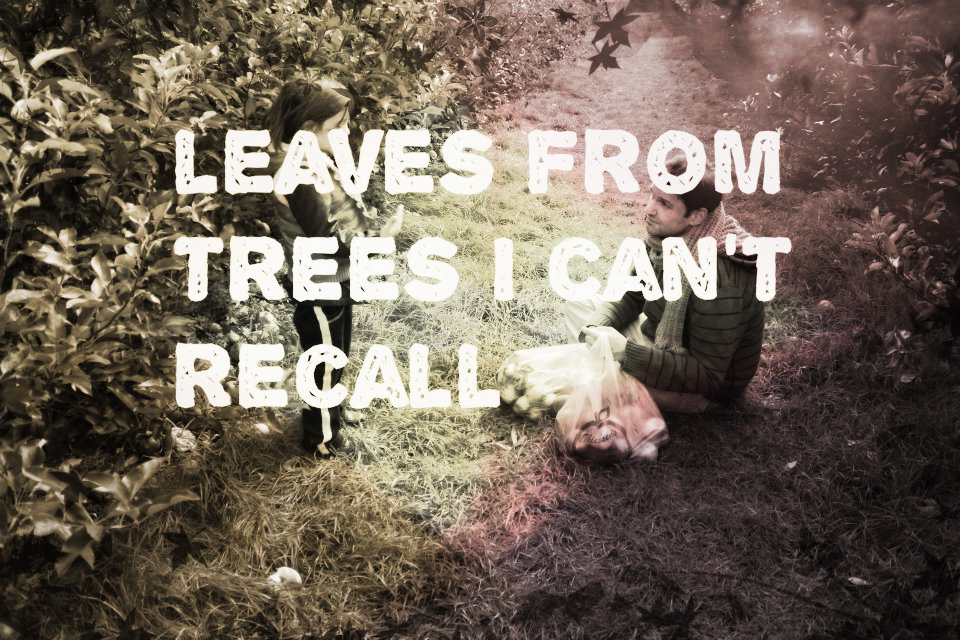 leaves from trees i cant recall