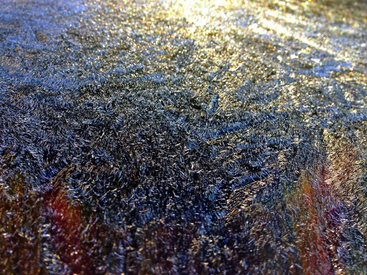 a2767161557_10.jpg