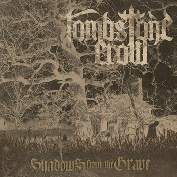 Shadows From The  Grave cover art