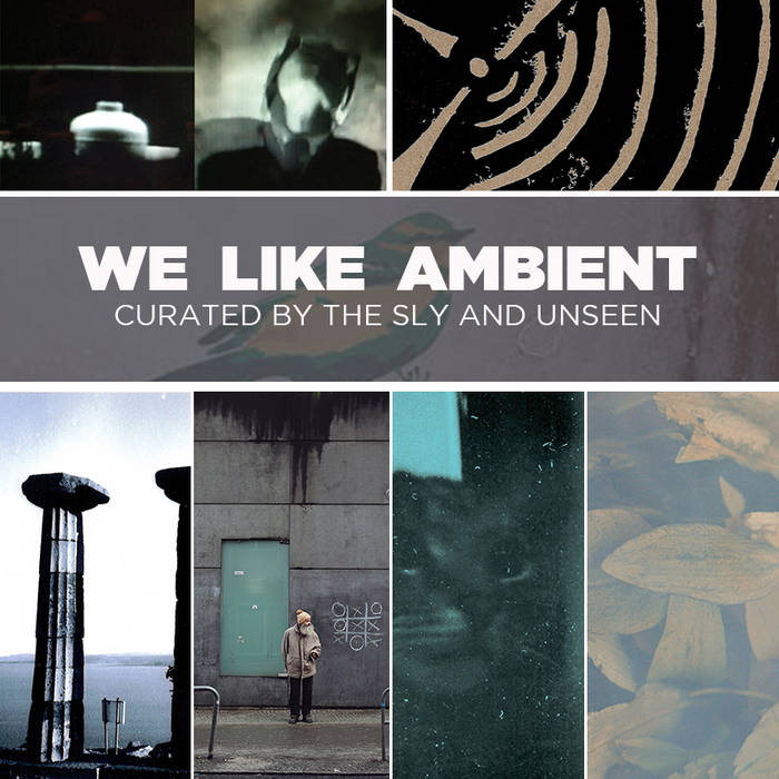 We Like Ambient (Curated by The Sly and Unseen) cover art