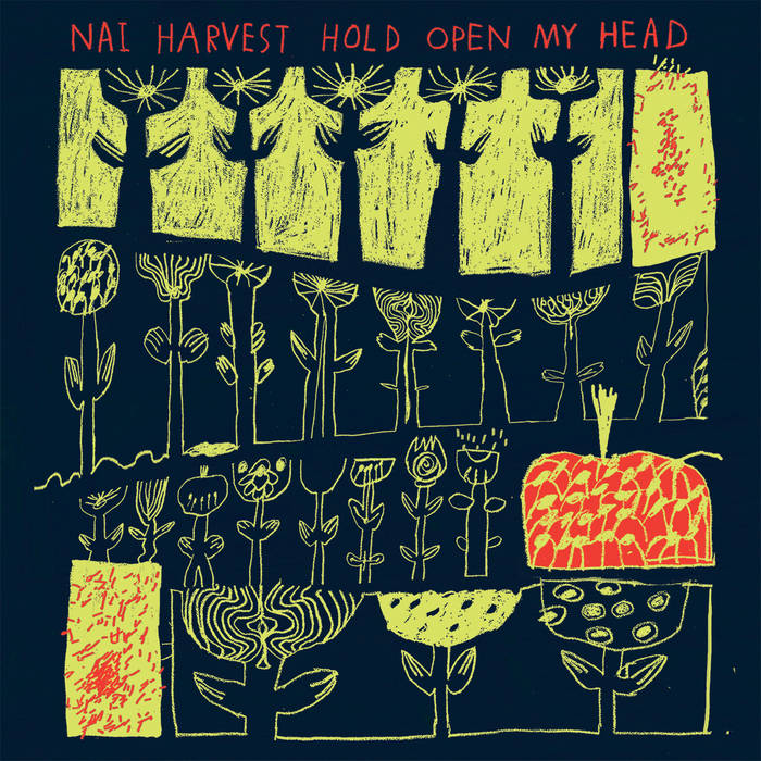 Hold Open My Head cover art