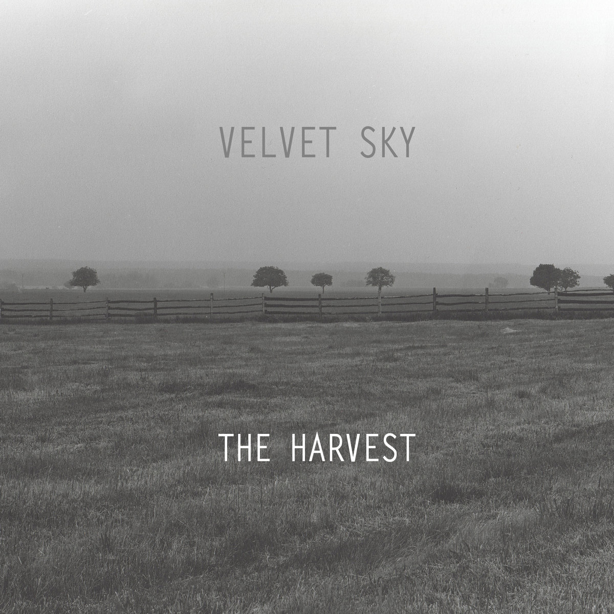 velvet sky: the harvest [cover]
