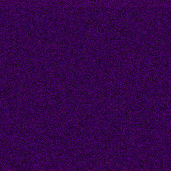 a3859692770_2.jpg