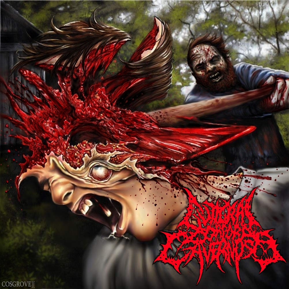 by             guttural corpora cavernosa